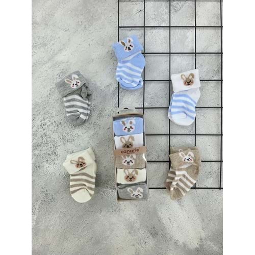 CANARİ TAVŞANLI 5 Lİ ÇORAP SET- 0-6 AY