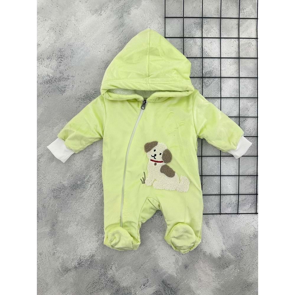CİCİLEX 1705 SÜZENE KÖPEK WELSOFTLU TULUM - YEŞİL - 6-9 AY
